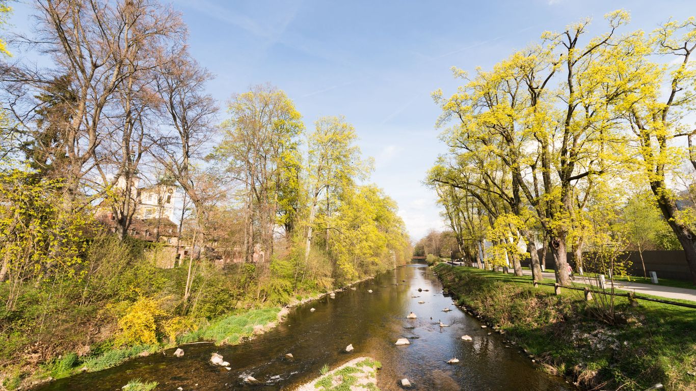 Férias em Donaueschingen