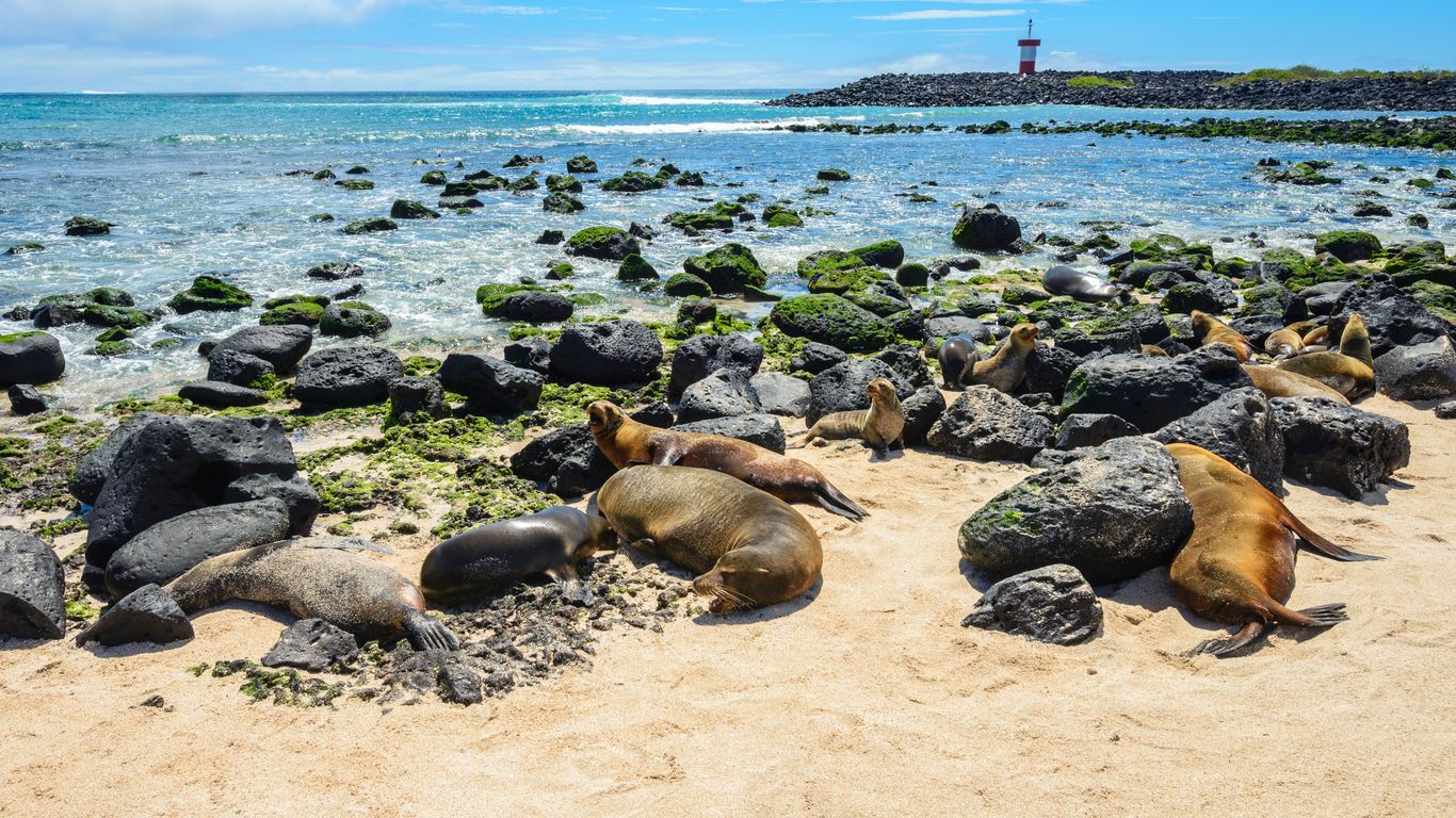 Hôtels à Puerto Baquerizo Moreno