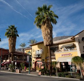 Palm Canyon Drive