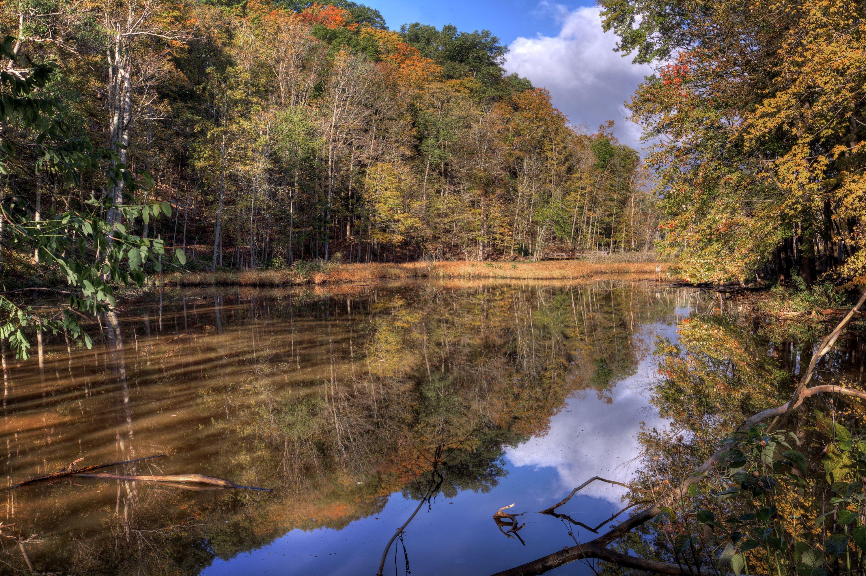 Cheap Flights from Minnesota to Ohio from 39 KAYAK