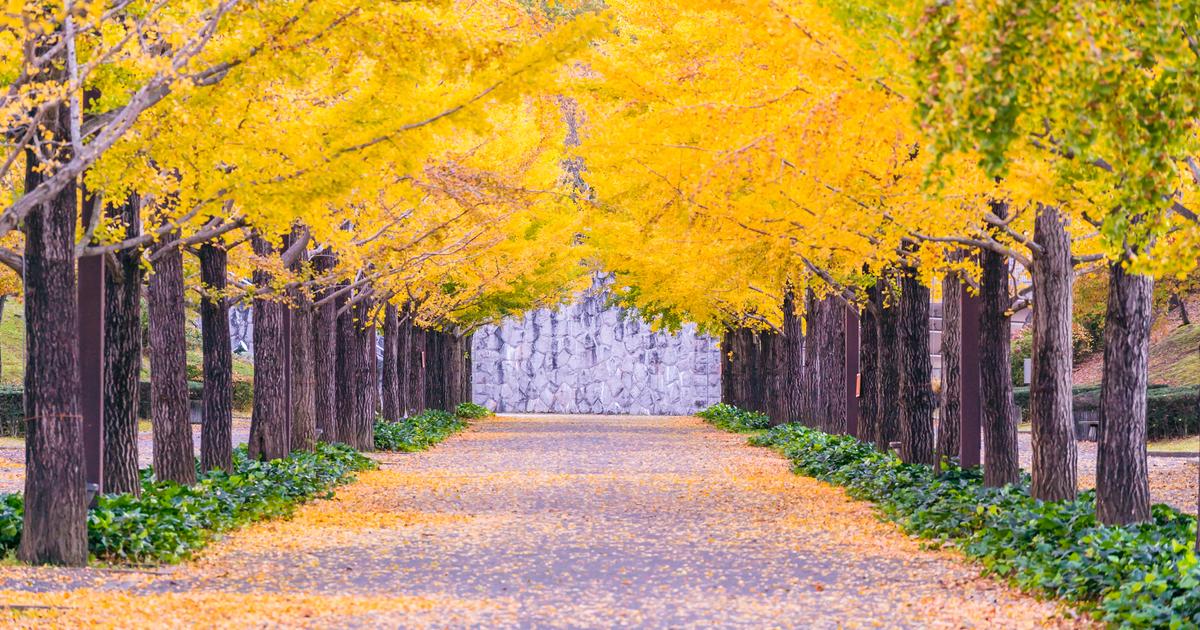 福島市の人気ホテル軒 お得な1泊 3 559 Kayak カヤック