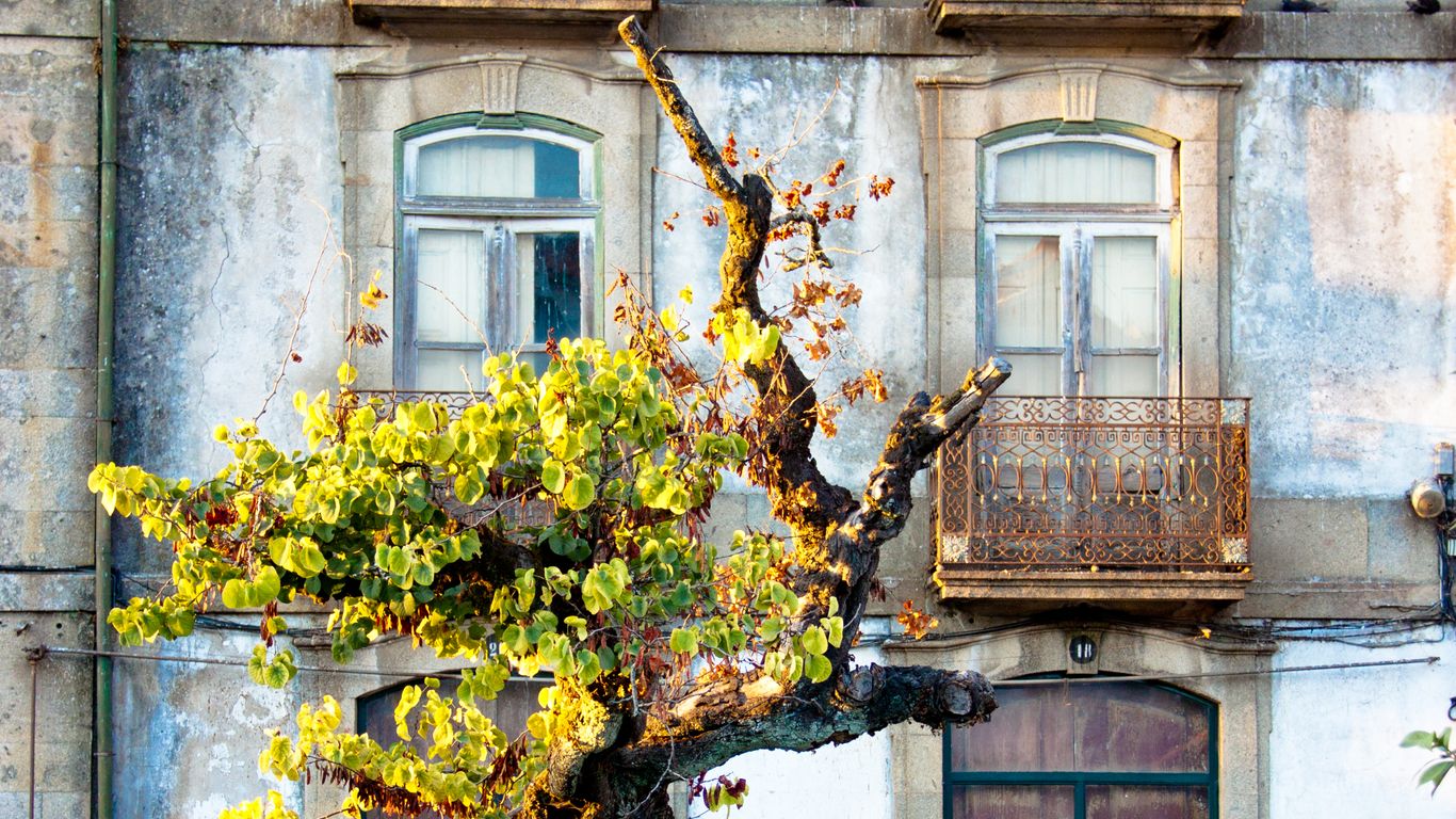 Hotellit Ponte de Lima