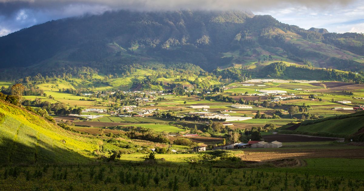 Hotels in Cerro Punta from $86 - Find Cheap Hotels with momondo