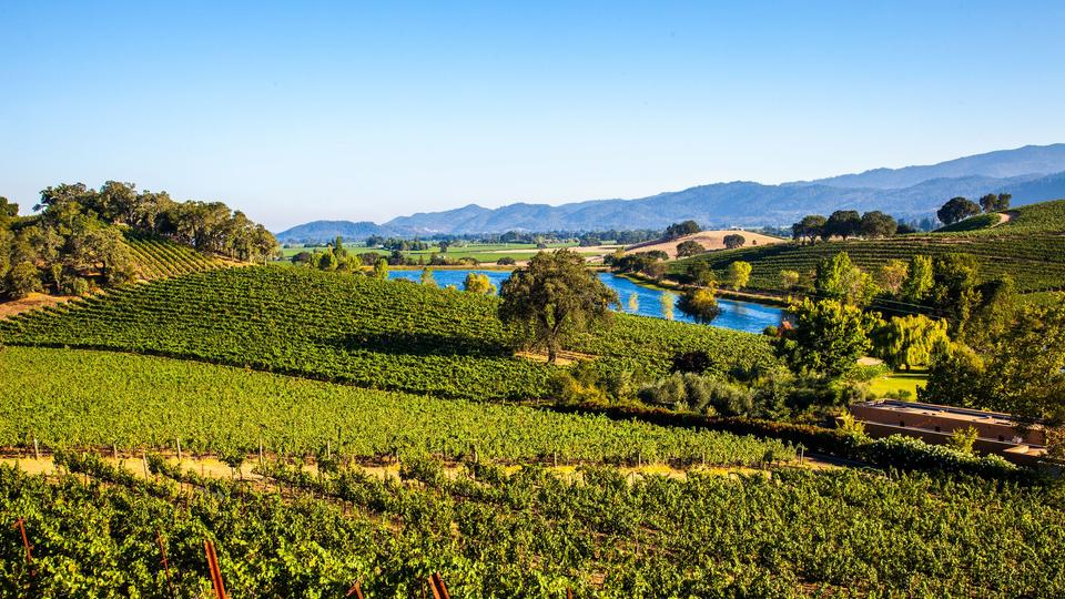 Car Rentals in Napa from 42/day Search for Rental Cars Car Rentals in Napa from 42/day Search for Rental Cars