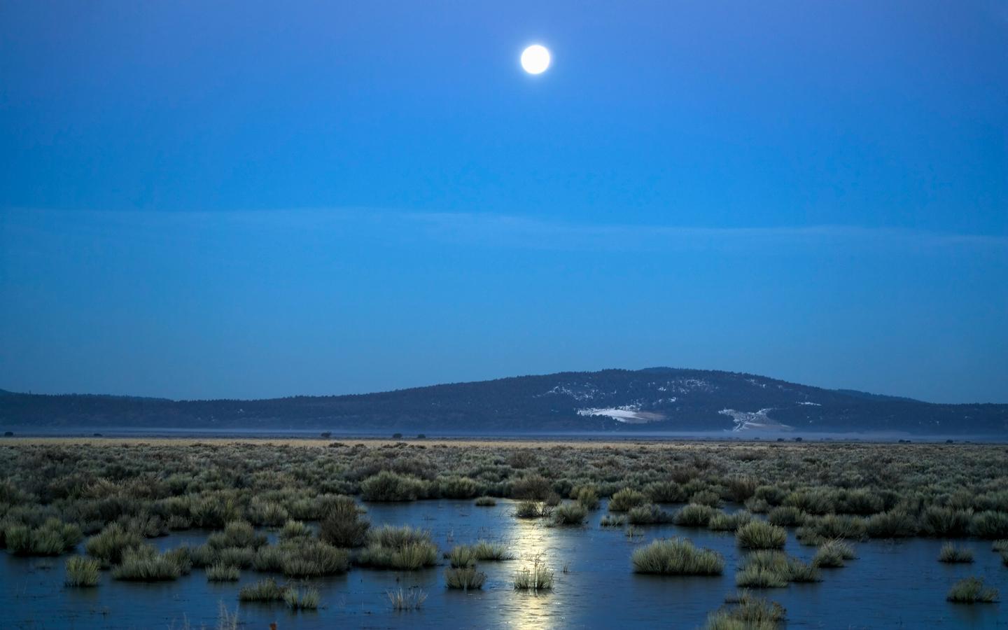 Hotels In Klamath Falls From R689night Search On Kayak - 