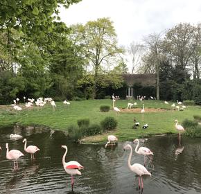 Rotterdam Zoo
