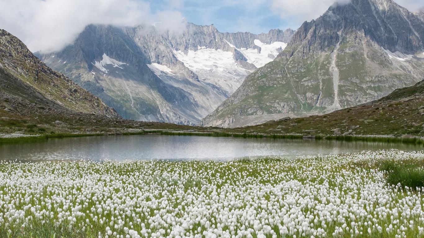 Hotele w Fiesch