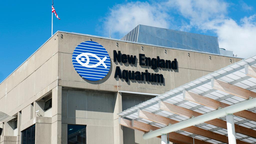 Hotels near New England Aquarium (Boston) from ₹ 5,805/night KAYAK Hotels Near New England Aquarium Map