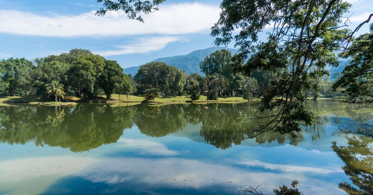 Taiping Travel Guide | Taiping Tourism - KAYAK