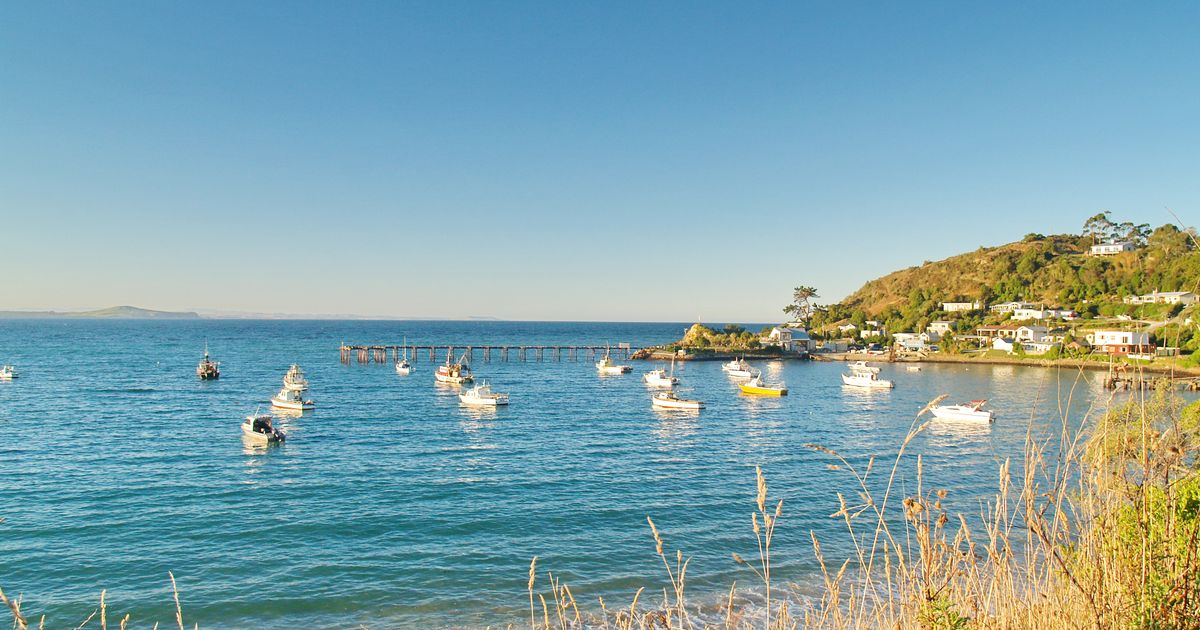 Moeraki Travel Guide Moeraki Tourism KAYAK