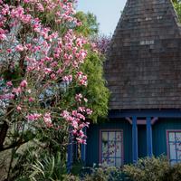 JC Raulston Arboretum