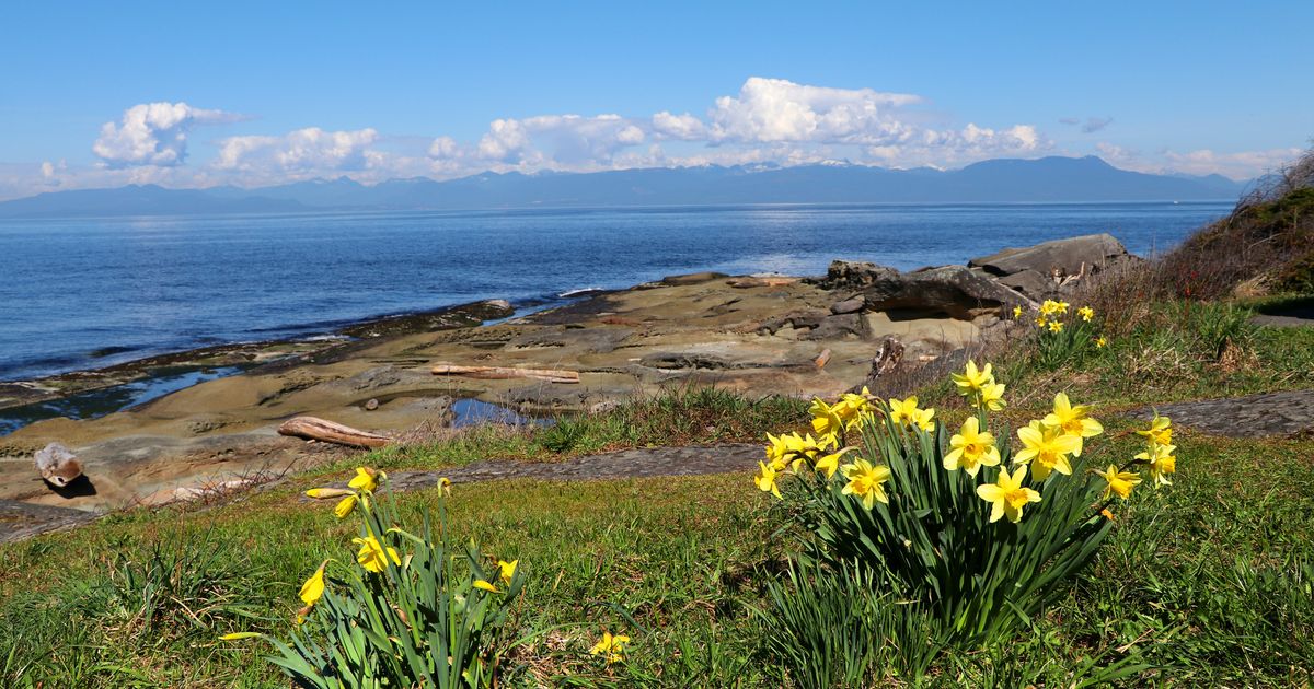 Gabriola Travel Guide Gabriola Tourism KAYAK