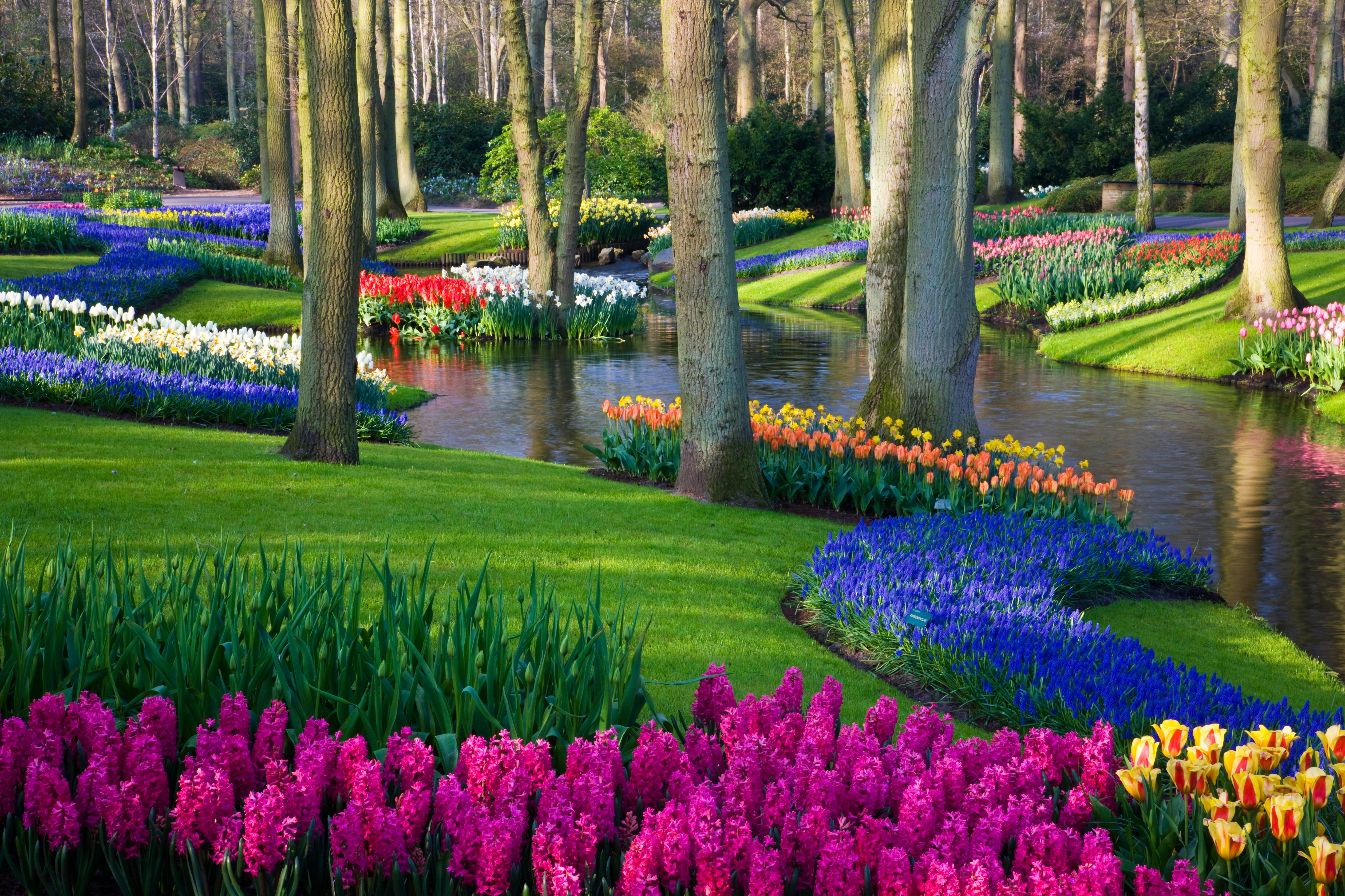 Hotels Near Keukenhof Gardens, Lisse - Amazing Deals