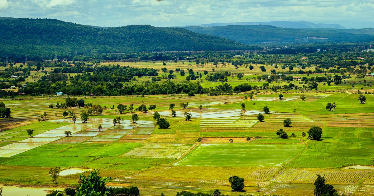 Wang Thong Travel Guide Wang Thong Tourism KAYAK