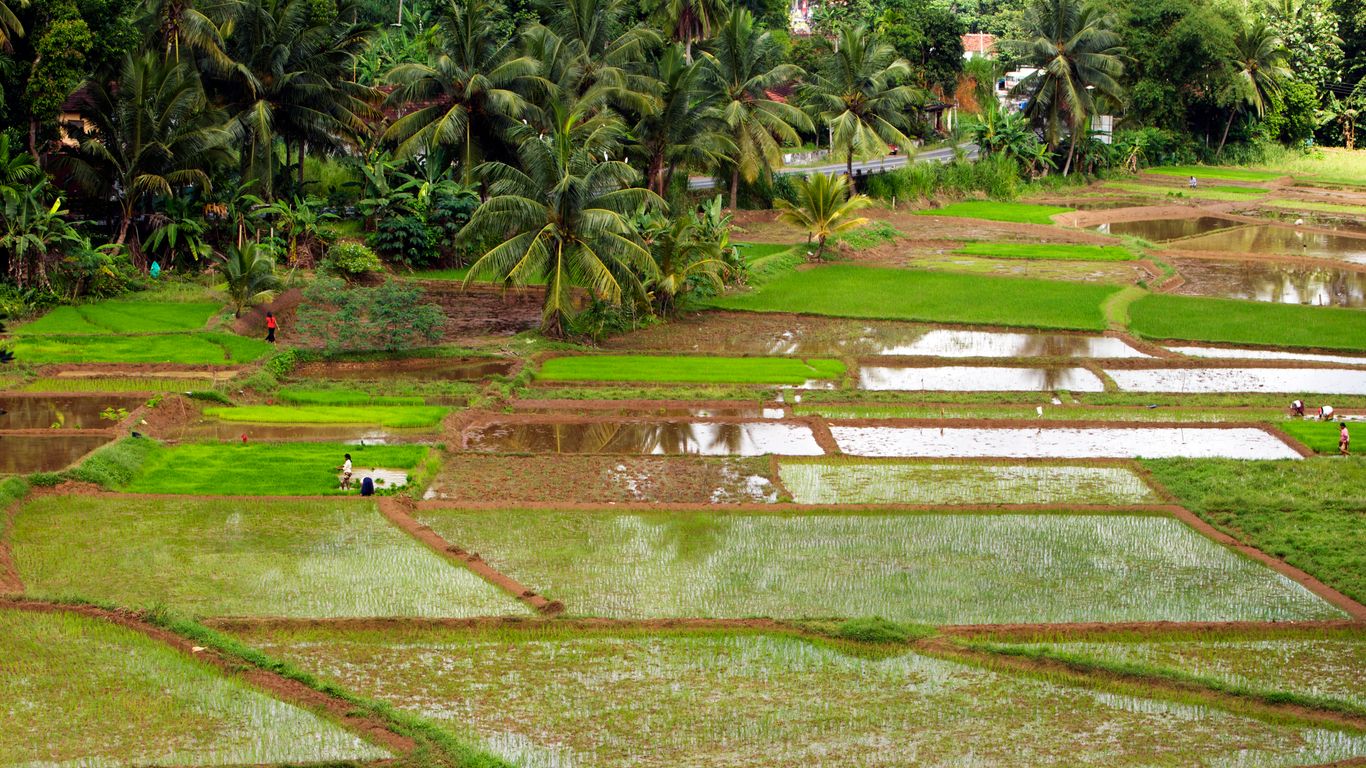 Hotels in Sabaragamuwa