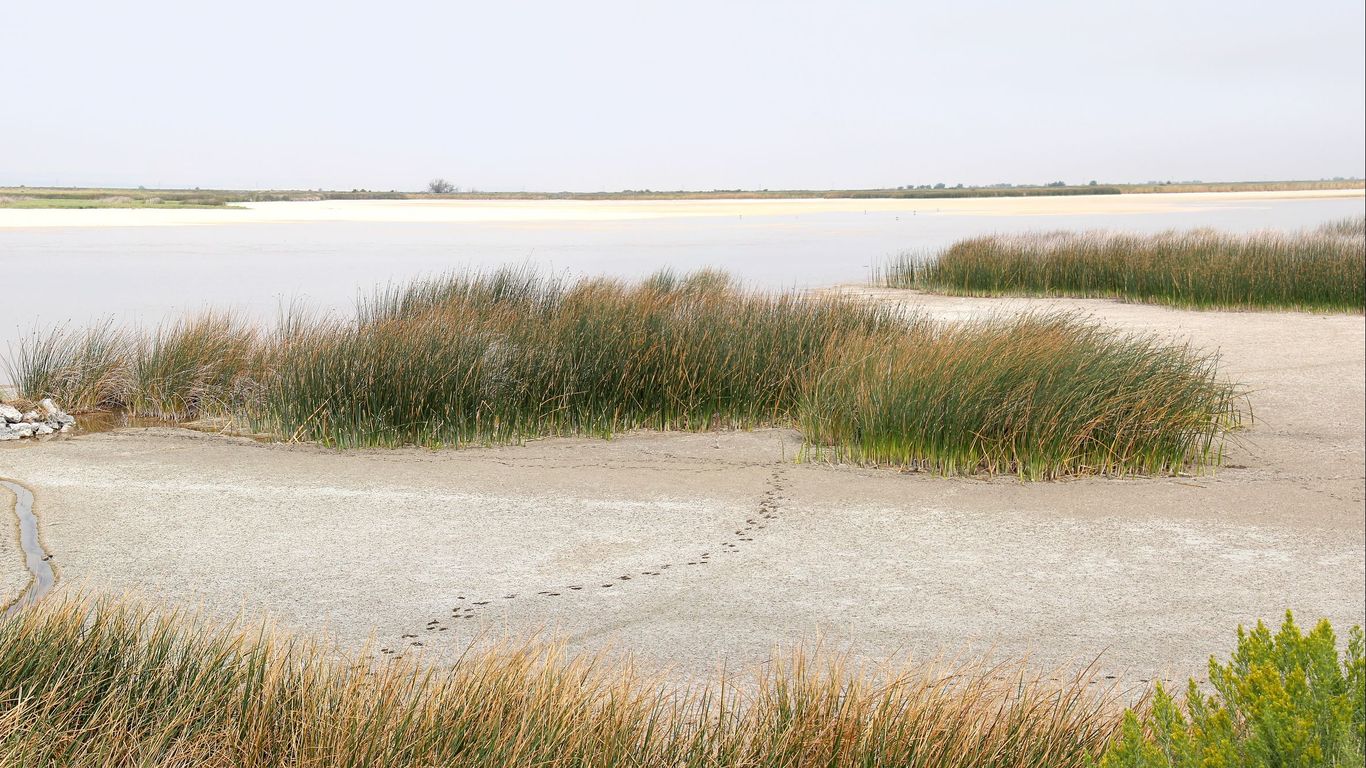 Hotels in Delta