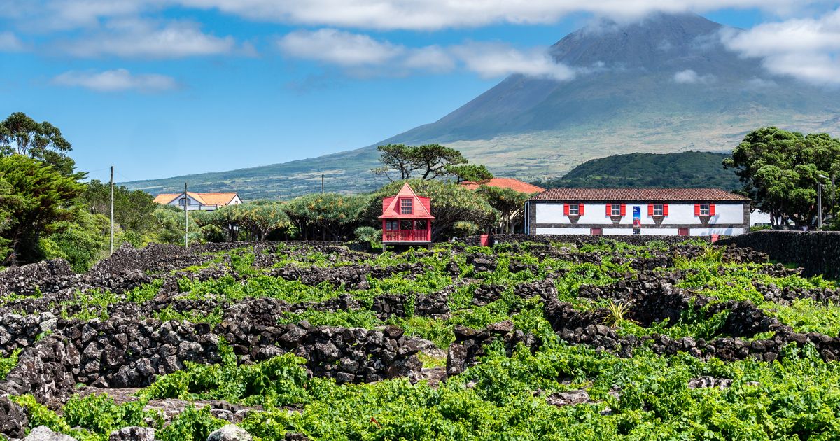 Car Rentals in Pico Search for Rental Cars on KAYAK