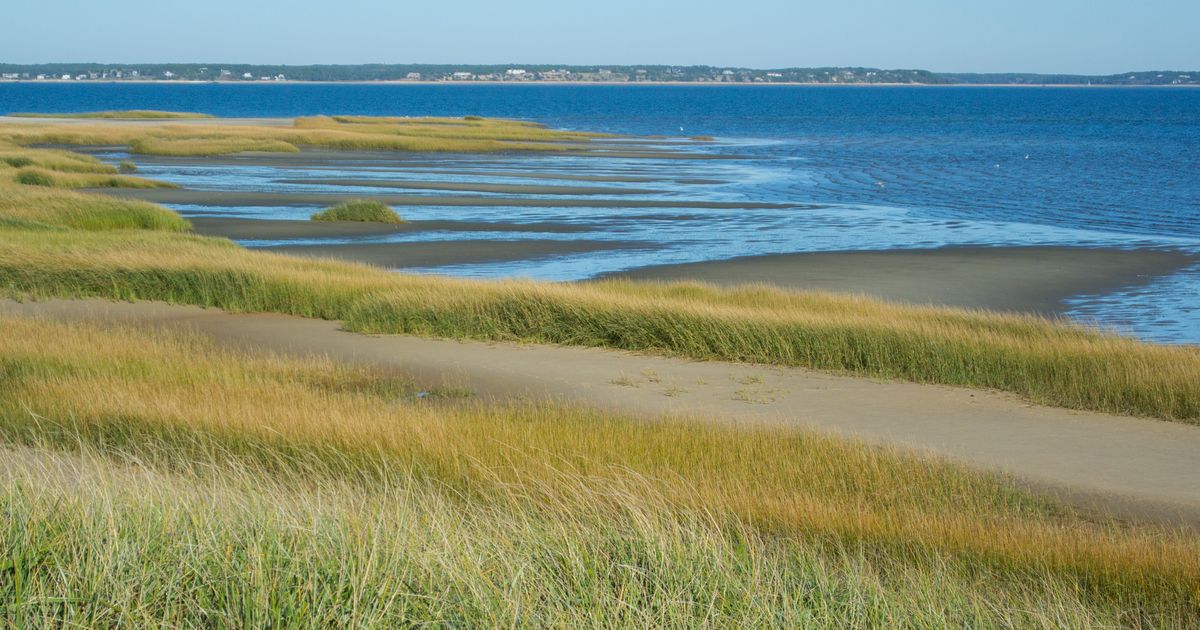 Wellfleet Travel Guide | Wellfleet Tourism - KAYAK