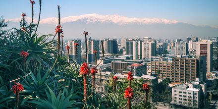 Car Rentals In Chile From 18 Day Search For Rental Cars On Kayak