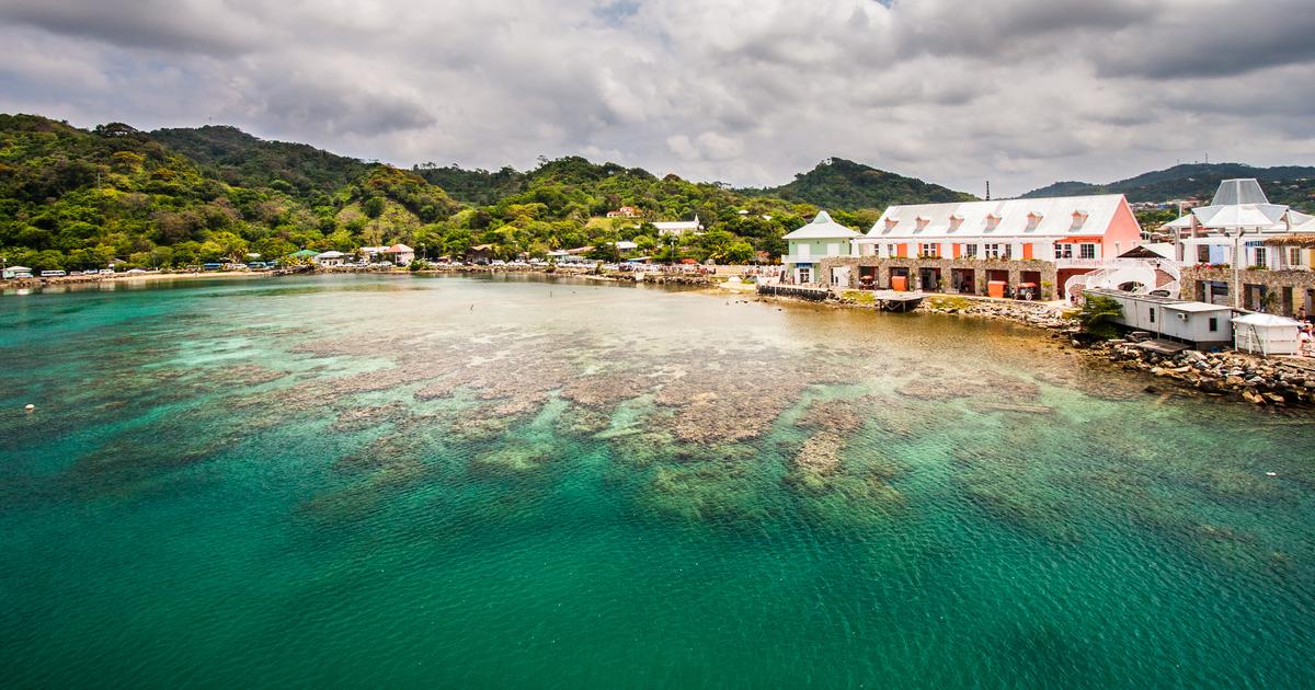 $124 CHEAP FLIGHTS to Roatan Island - KAYAK