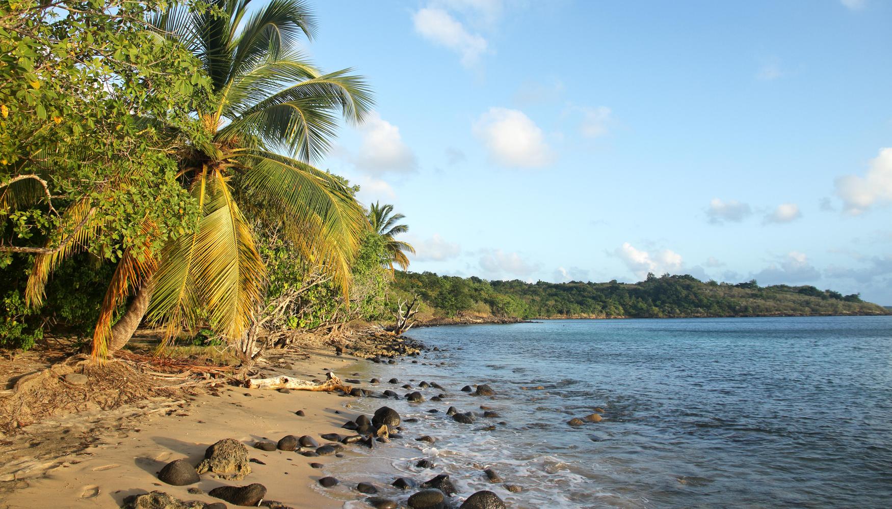 Séjours à SainteLuce dès 686 € Recherchez un vol+hôtel sur KAYAK Séjours à SainteLuce dès 686 € Recherchez un vol+hôtel sur KAYAK