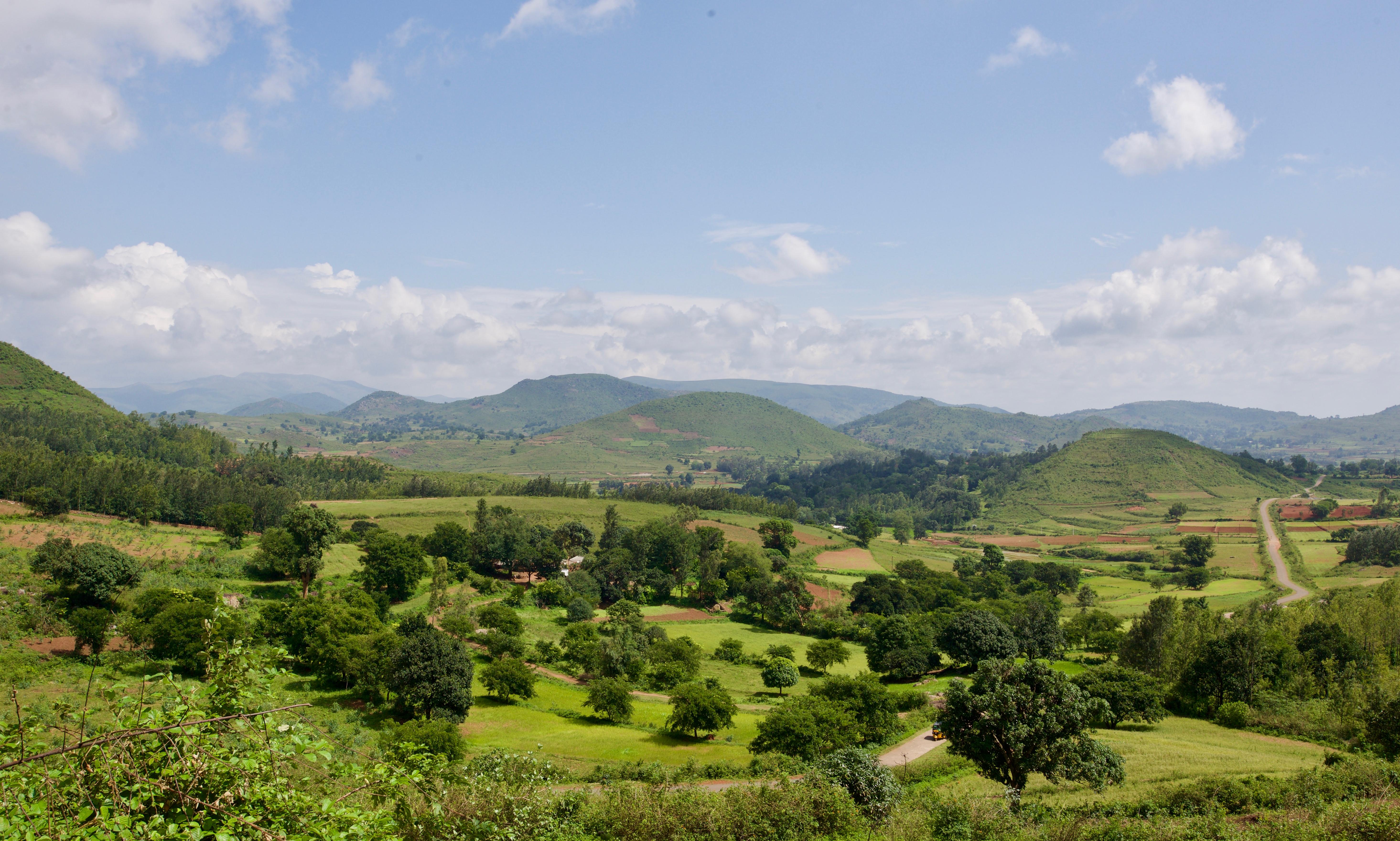 Araku Valley Travel Guide | Araku Valley Tourism - KAYAK