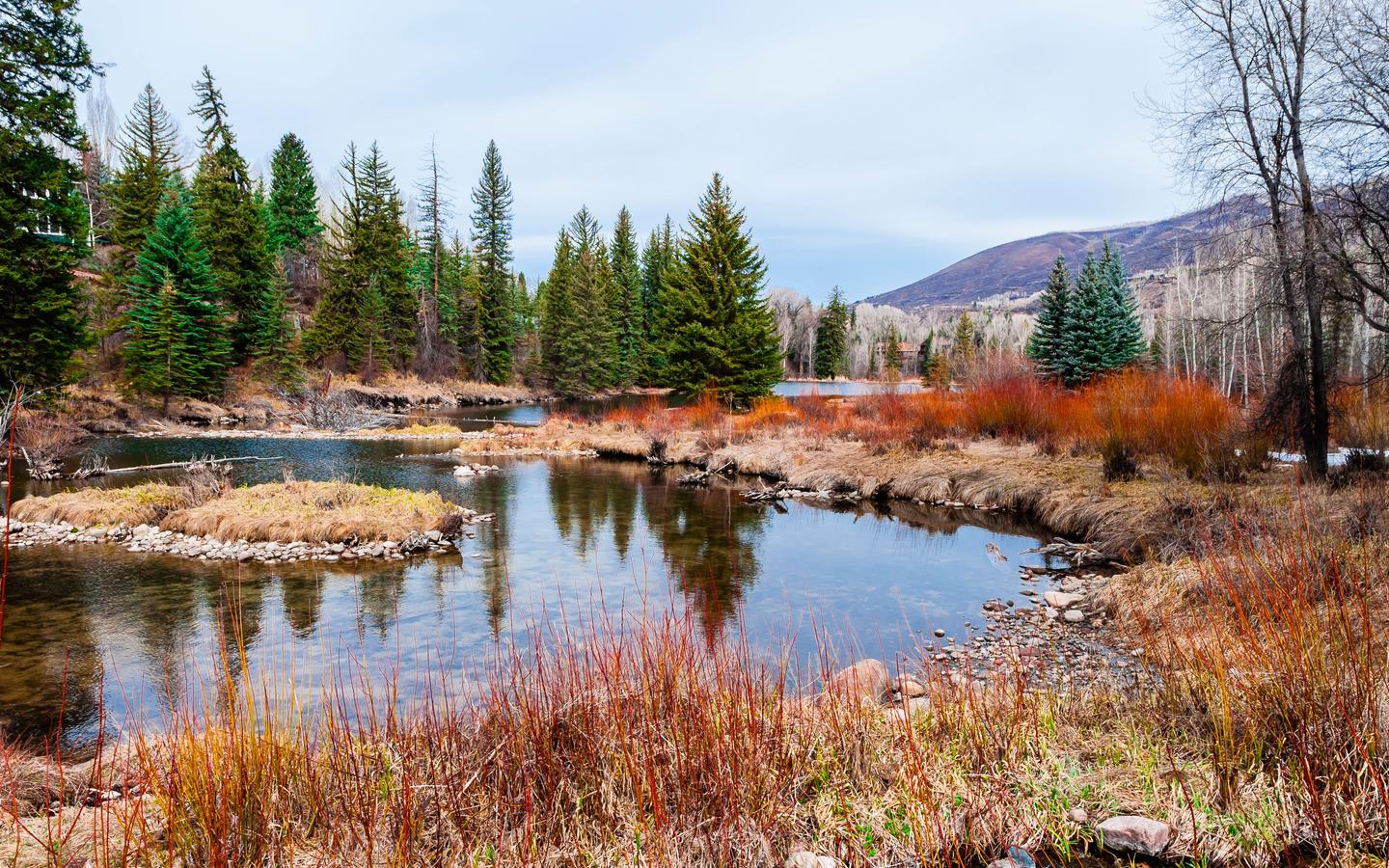 Aspen hotels