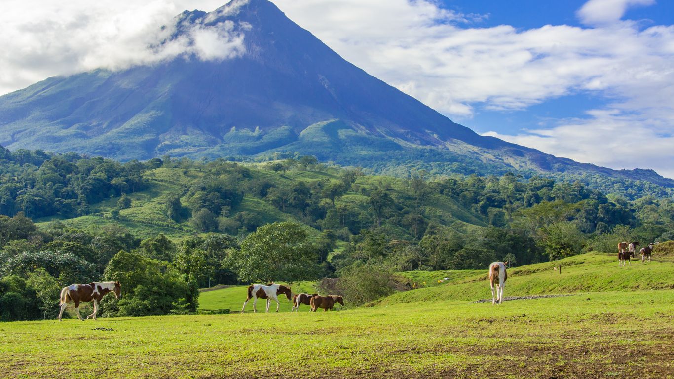 Urlaube in Alajuela