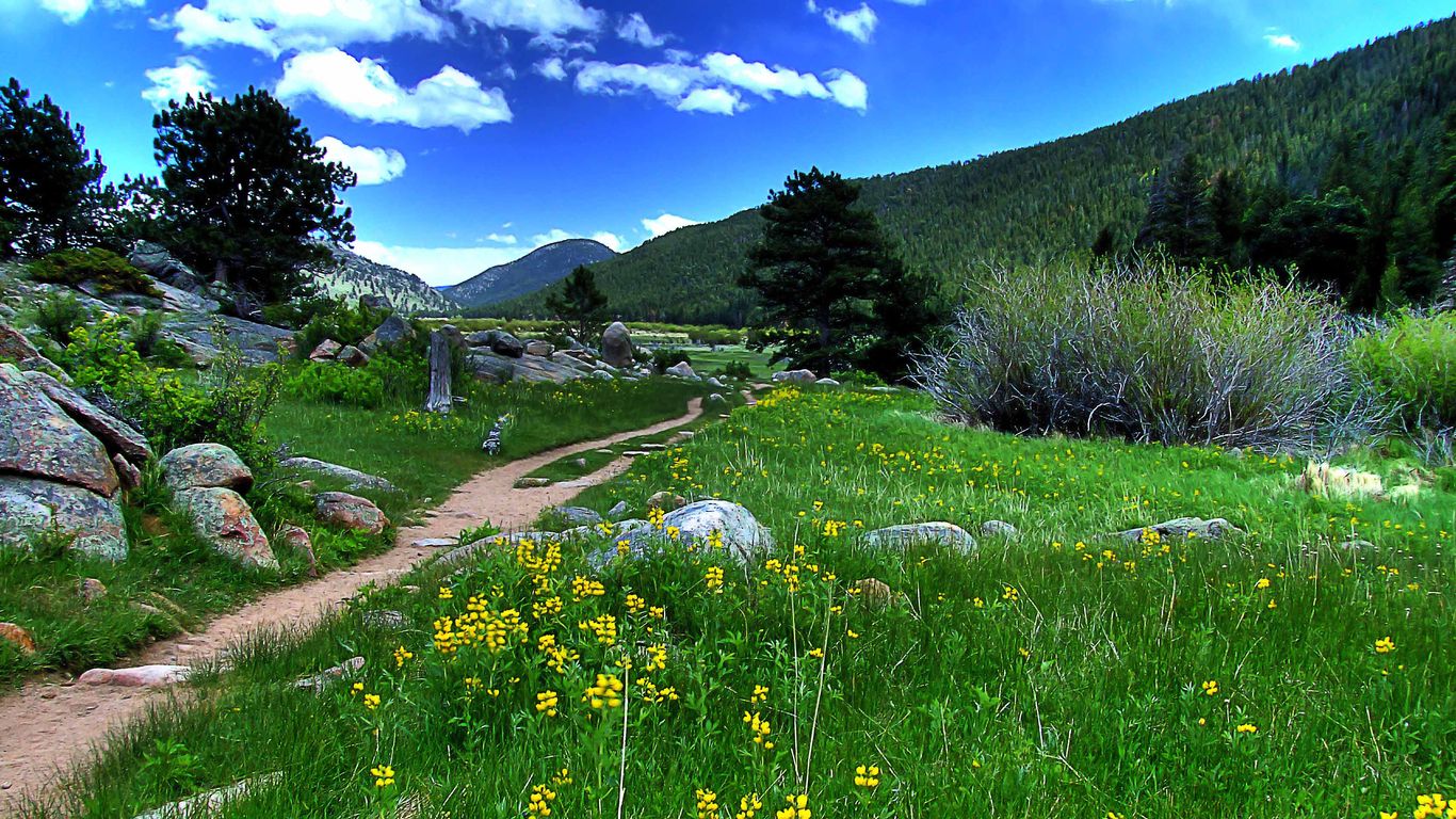 Vacations in Rocky Mountain National Park