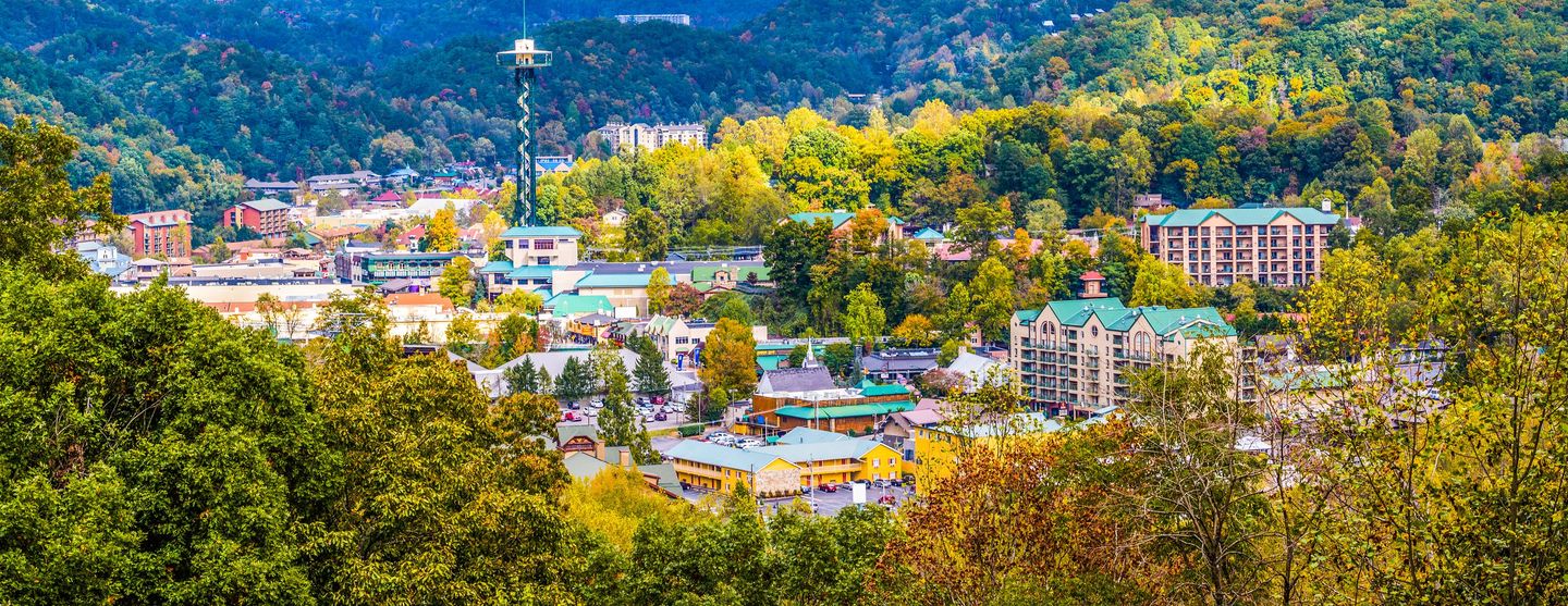 Best Pet Friendly Hotels In Gatlinburg From 40 night KAYAK Best pet friendly hotels in gatlinburg from 40 night kayak