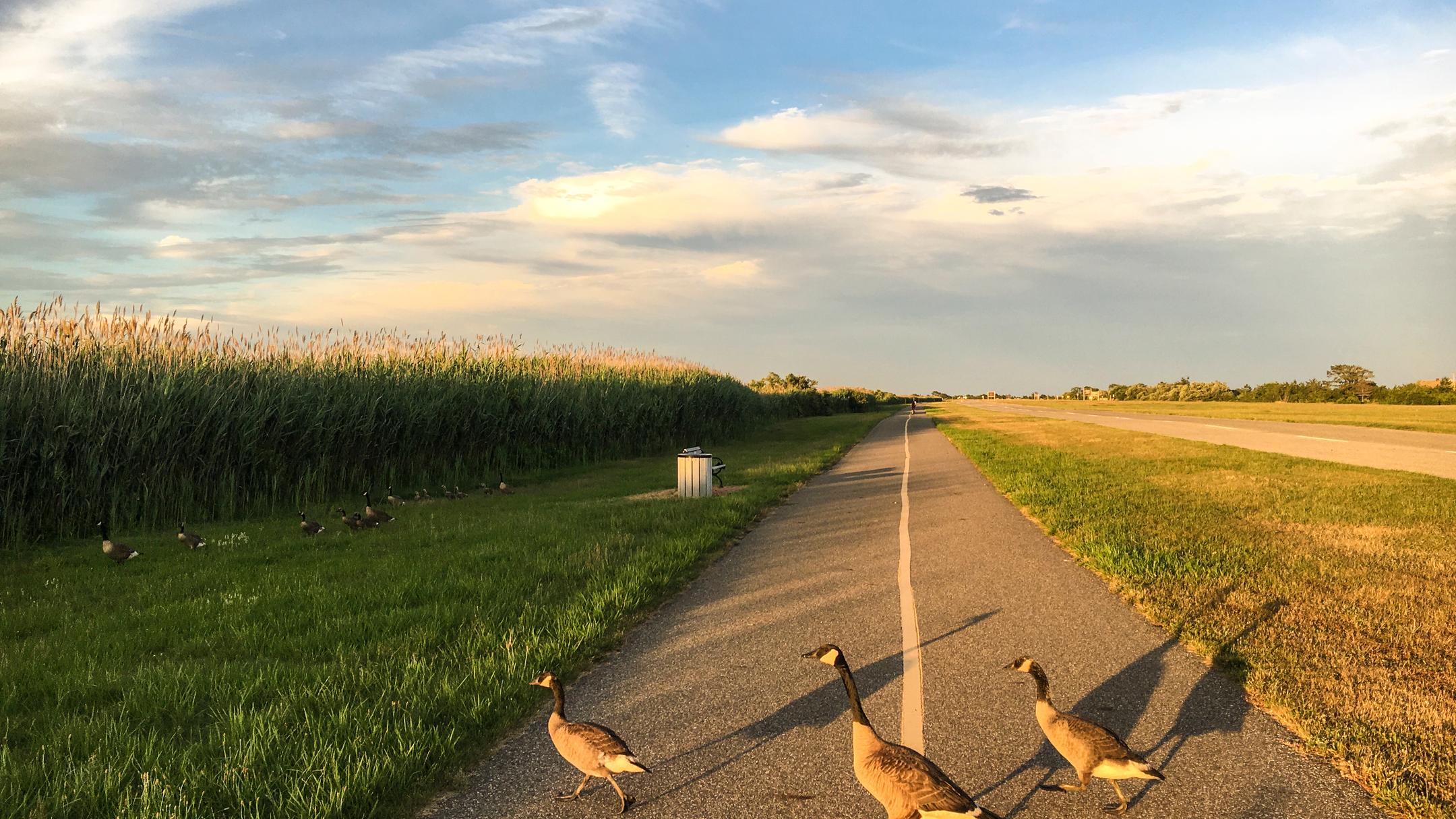 Cheap Flights to Islip from $44 in 2022 - KAYAK