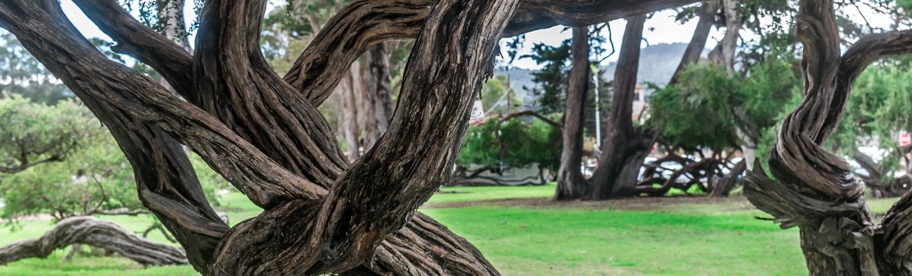Monterey hotels