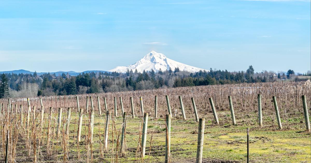 16 Best Hotels in Gresham. Hotels from 121/night KAYAK