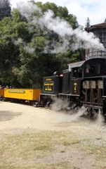 Roaring Camp Railroads