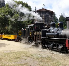 Roaring Camp Railroads