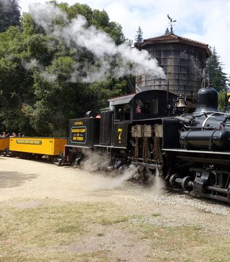 Roaring Camp Railroads