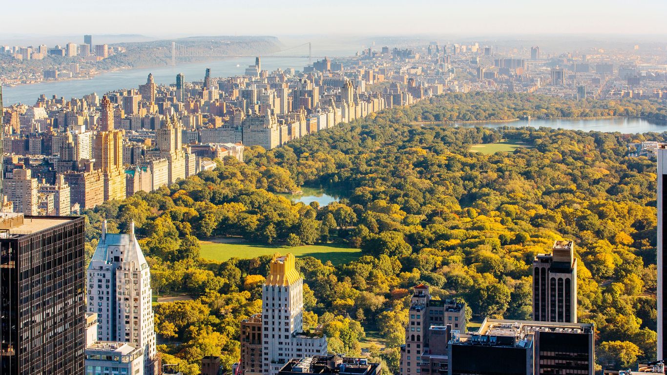 New York New York
