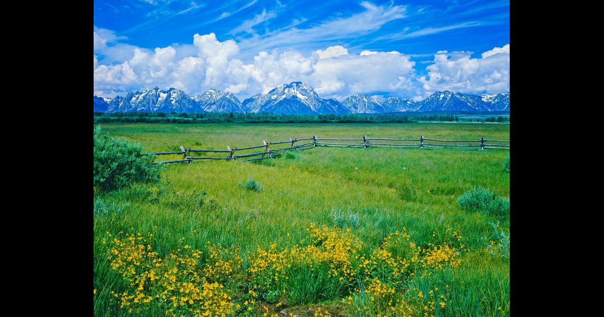 Best Grand Teton National Park Holiday Rentals KAYAK