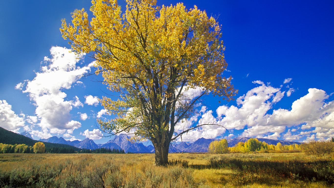 Vacations in Grand Teton National Park