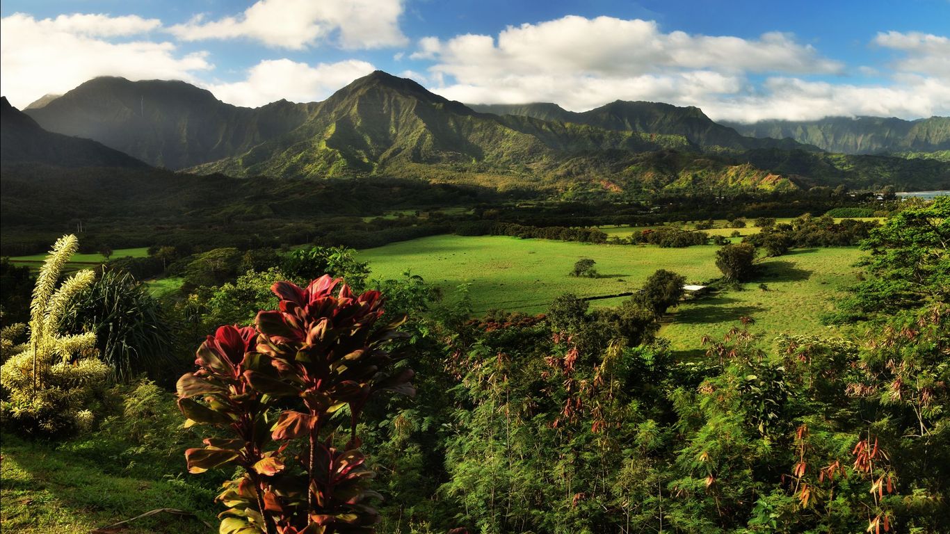 Vacations in Princeville