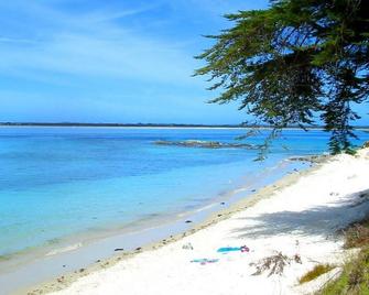 Puka Bach - Paradise On Your Doorstep - Karikari Peninsula - Beach