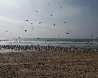 Lakefront 500 meters from the seafront. Pets accepted. - Mira - Praia