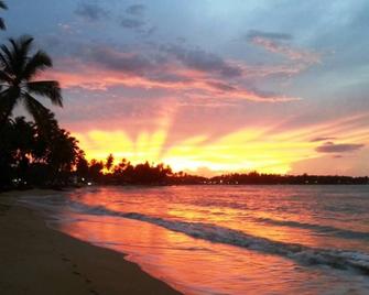 Peaceful villa with garden and swimming pool - 300 m from the beach - Las Terrenas - Strand