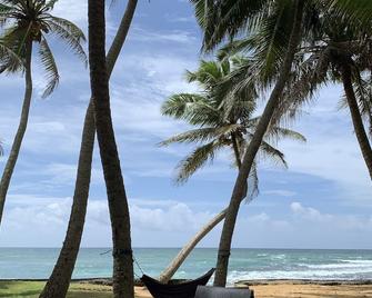 Curry Bowl Restaurant & Turtles Rest - Hikkaduwa - Beach