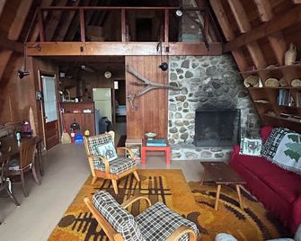 Rustic 3-bedroom cabin on Canada Lake with pontoon boat - Caroga Lake - Living room