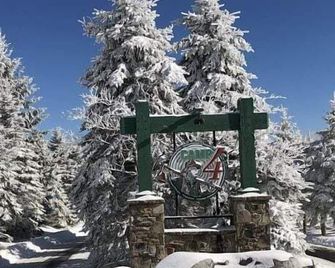 Camp Four 23: Pet Friendly, Slope Side, Gas Fireplace - Snowshoe