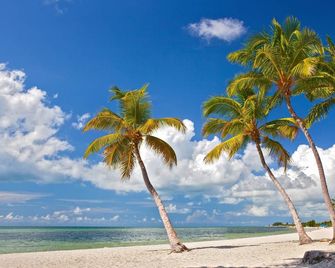 Tropical Dreaming by AvantStay - Key West - Beach