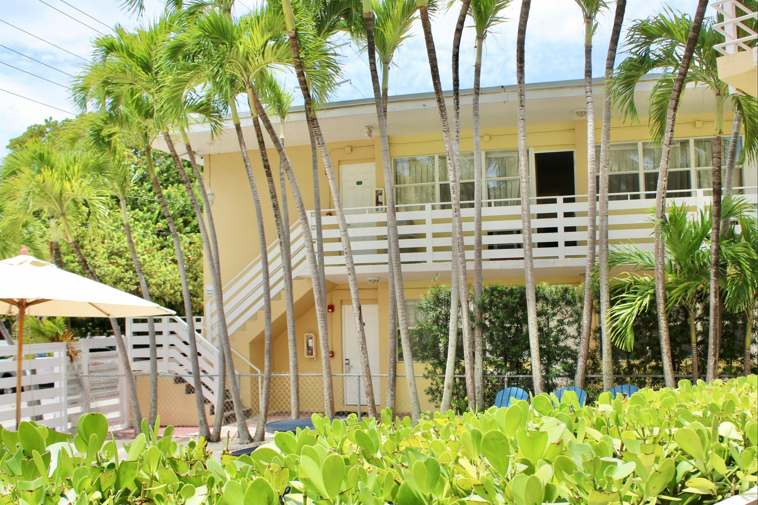 فندق بيتش بالاس - ميامي بيتش - مبنى