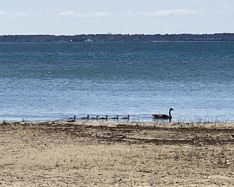(Elm) Cozy Lakeside 2 Bed 2 Bath Cottage - Pets Ok - East Tawas - Beach