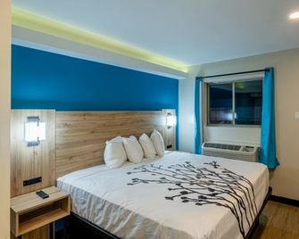Exclusivo Inn By OYO Grand Prairie, Tx - Grand Prairie - Schlafzimmer